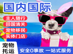 厦门高崎航空物流国际宠物托运 【国